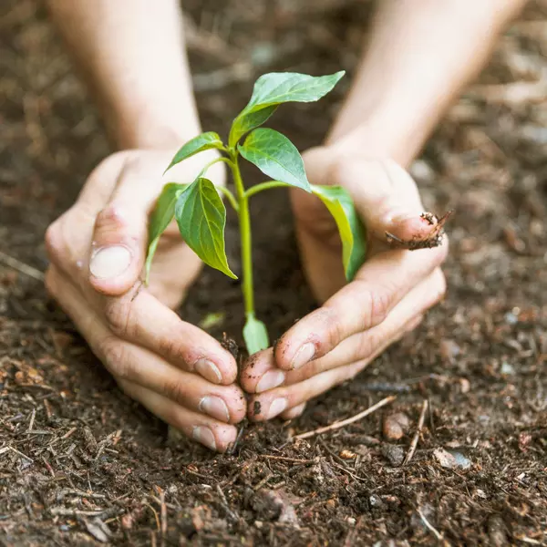 Realizowane projekty - Obywatel to brzmi dumnie…